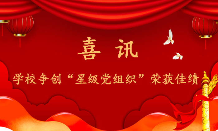 喜讯！争创“星级党组织”荣获佳绩
